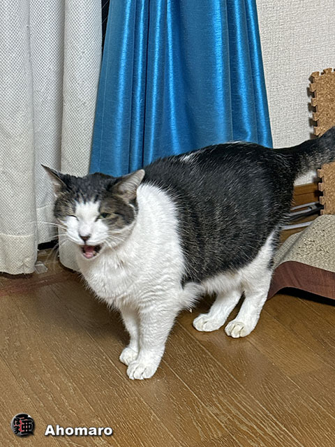 ʐ^00