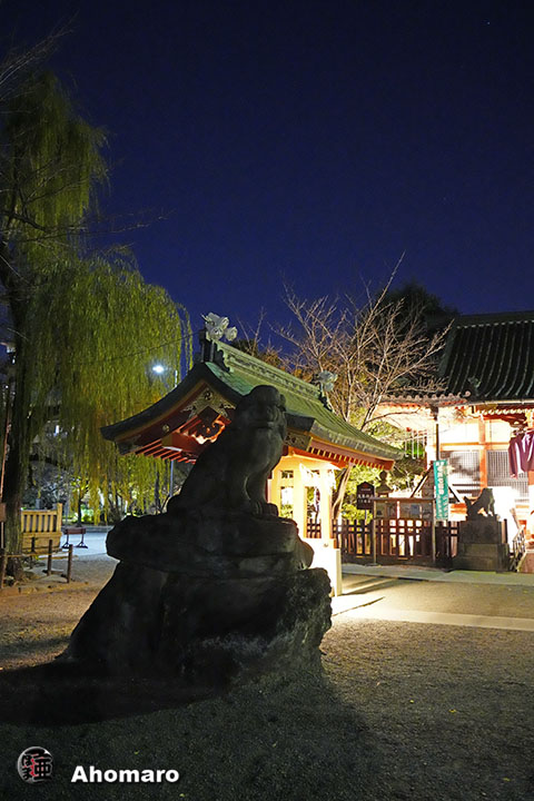写真00