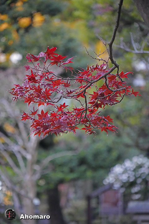 写真00