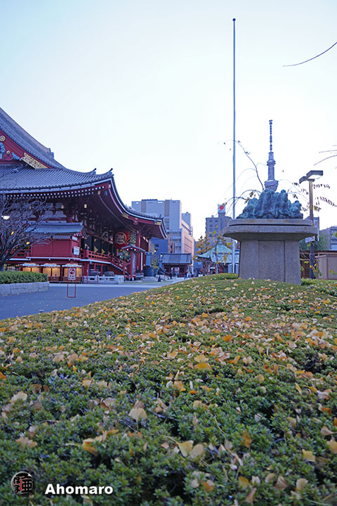 写真00
