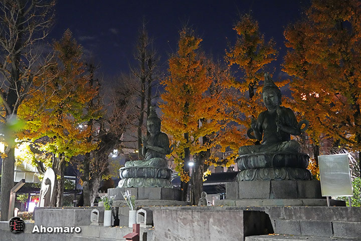 写真00