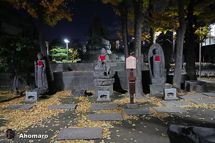 写真00