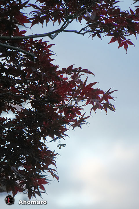 写真00