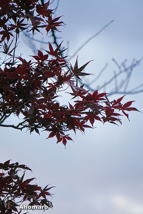 写真00