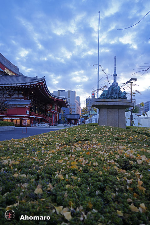 写真00