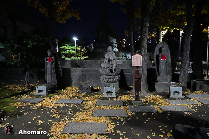 写真00