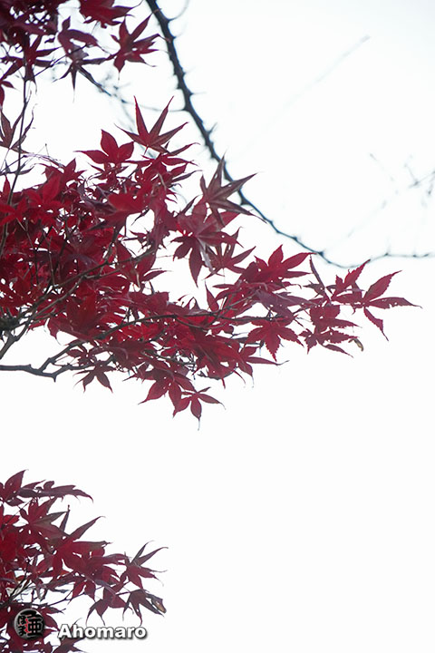 写真00