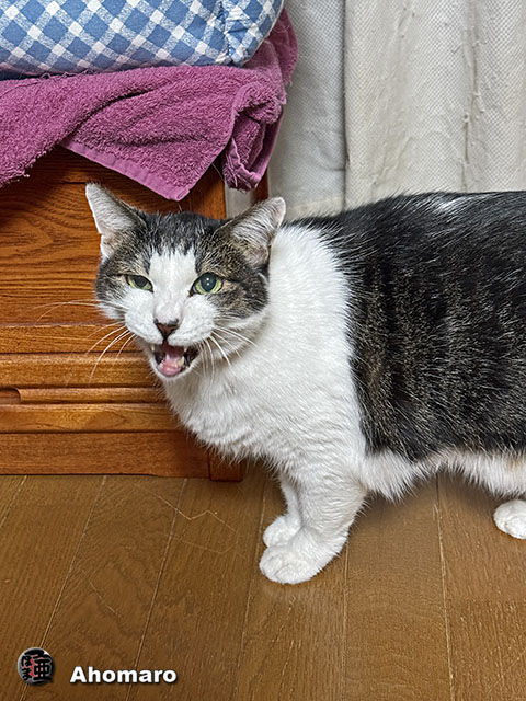 ʐ^00