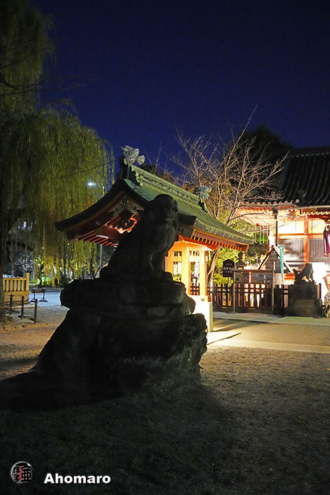 写真00