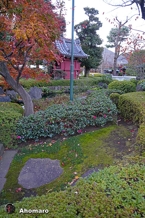 写真00