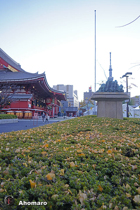 写真00