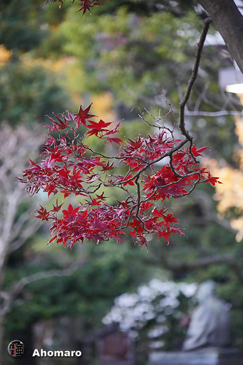 写真00