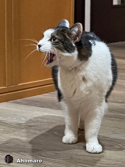ʐ^00