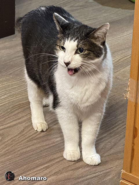 ʐ^00