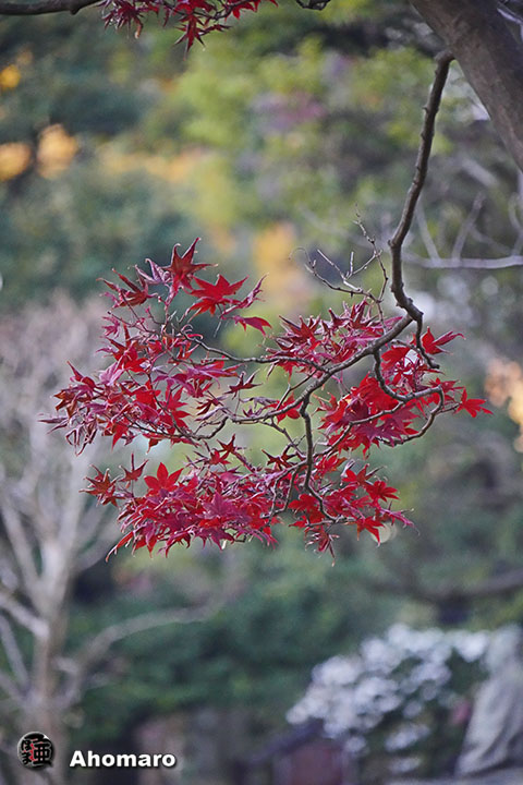 写真00