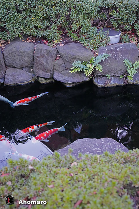 写真00