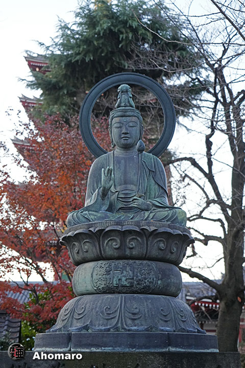 写真00