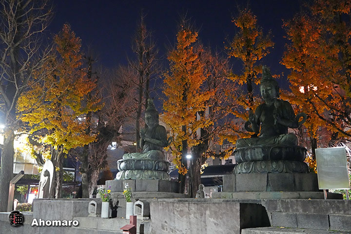 写真00