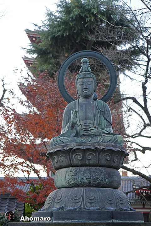 写真00