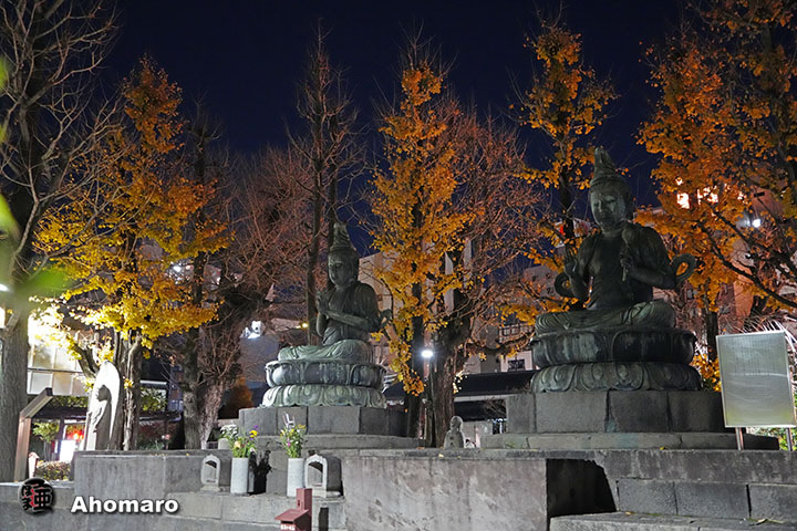 写真00
