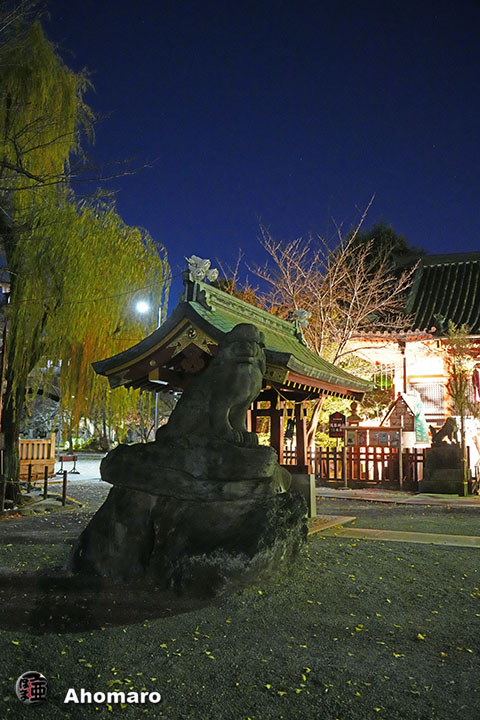 写真00