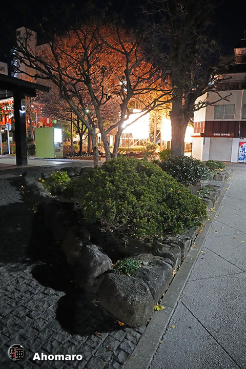 写真00