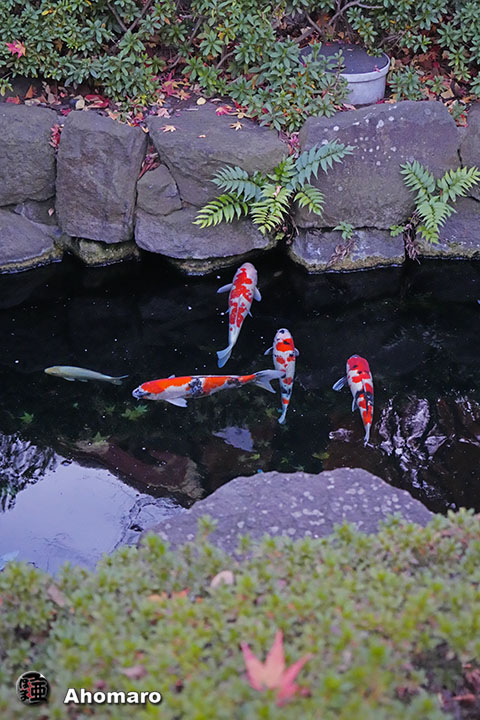 写真00