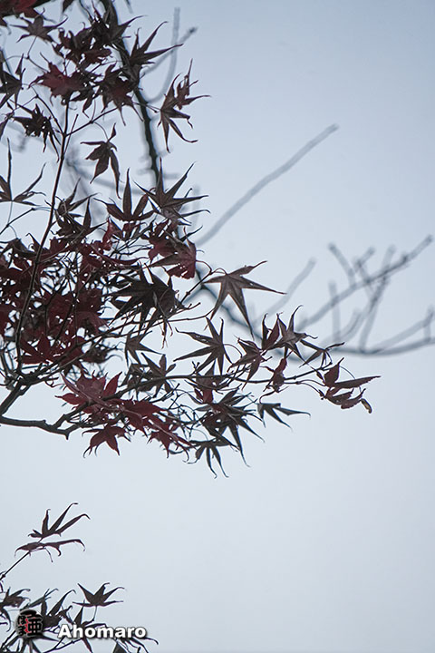 写真00