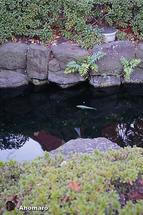 写真00