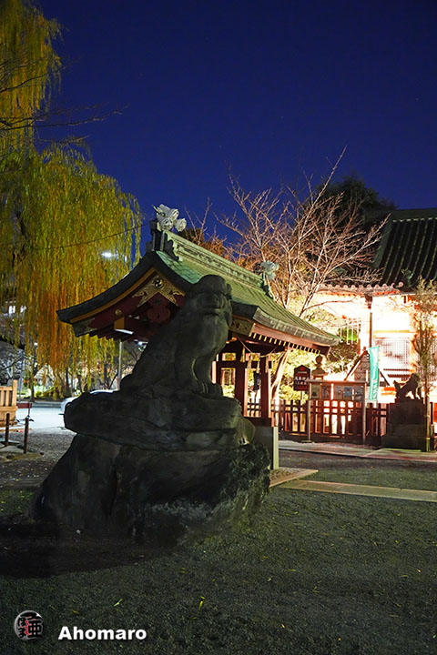 写真00