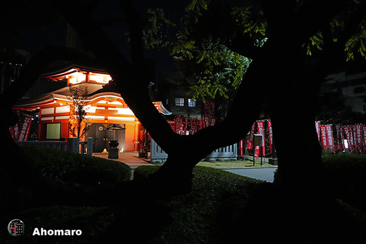 写真00