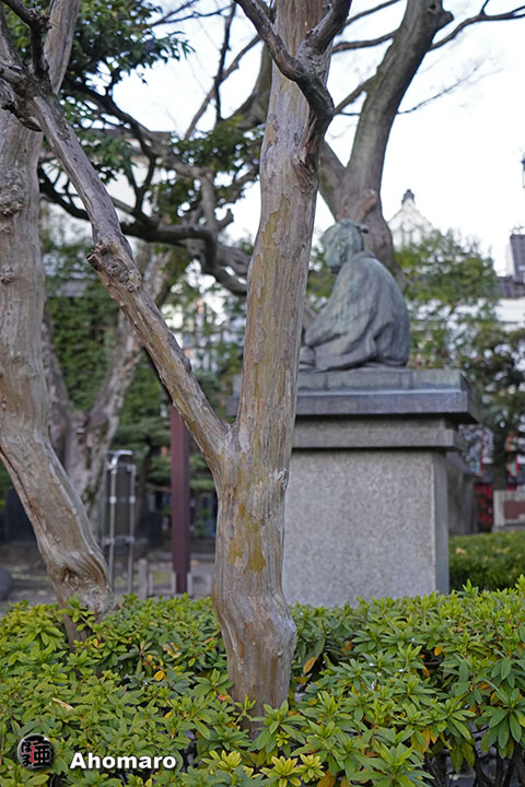 写真00