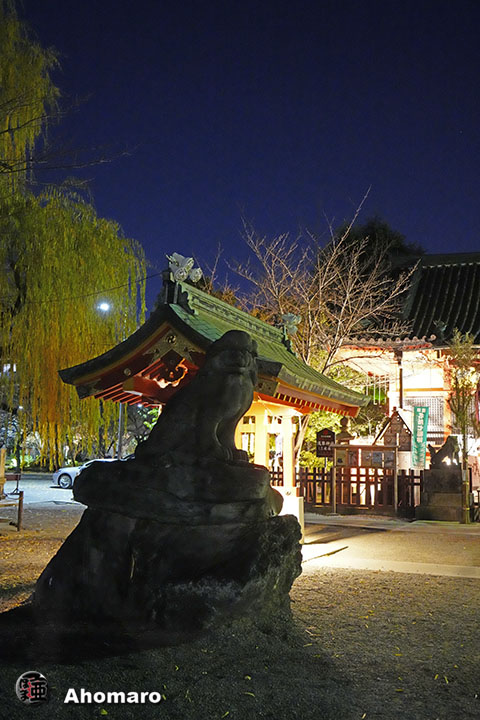写真00