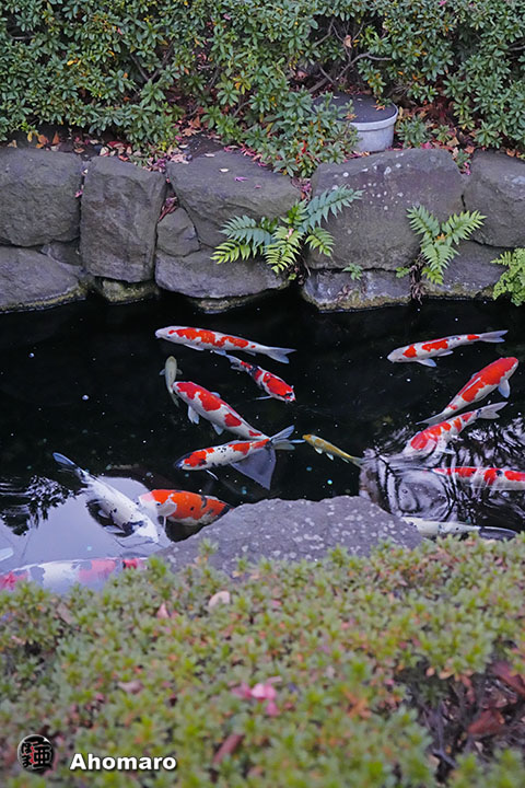 写真00