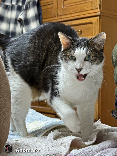 ʐ^00