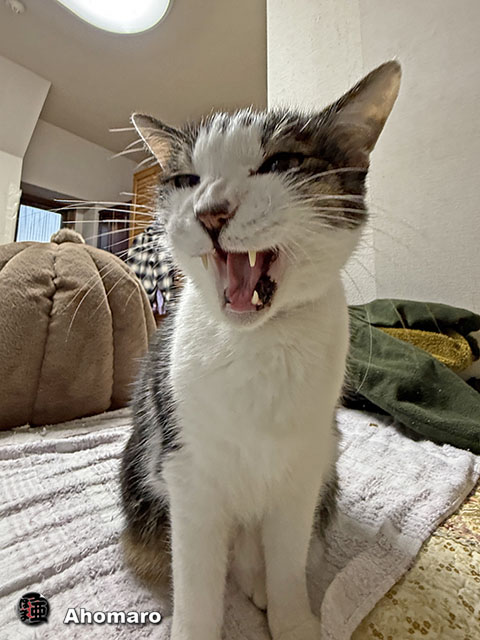 ʐ^00