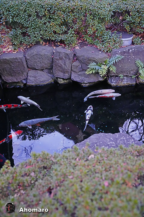写真00