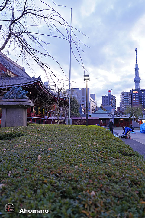 写真00