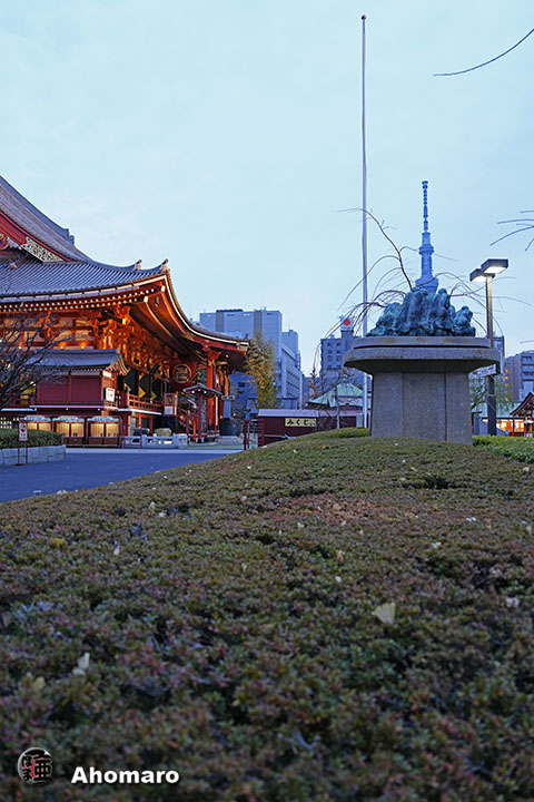 写真00