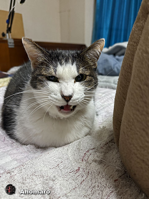 ʐ^00