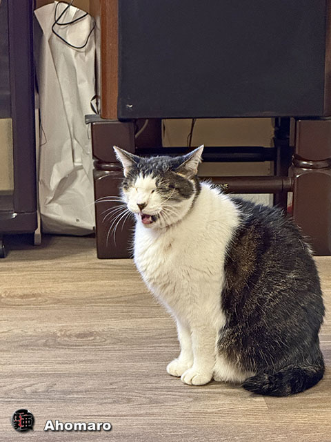 ʐ^00