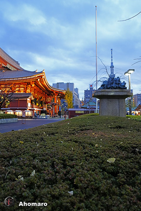 写真00