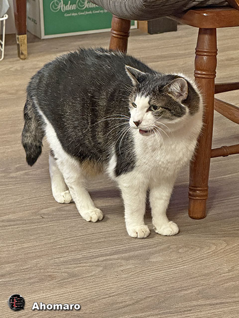 ʐ^00