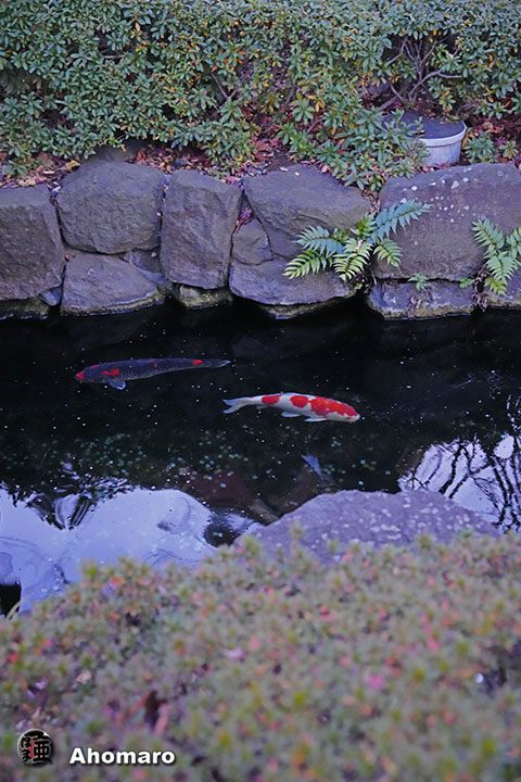 写真00
