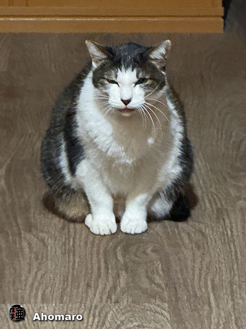 ʐ^00