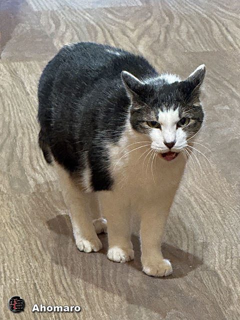 ʐ^00