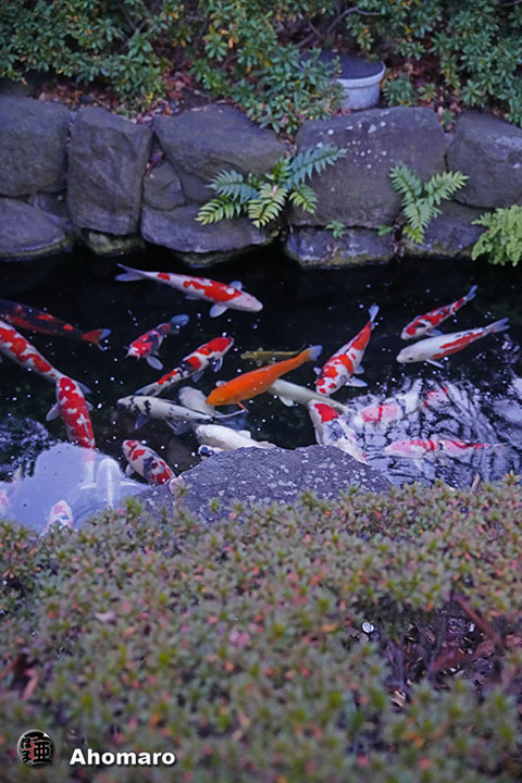 写真00