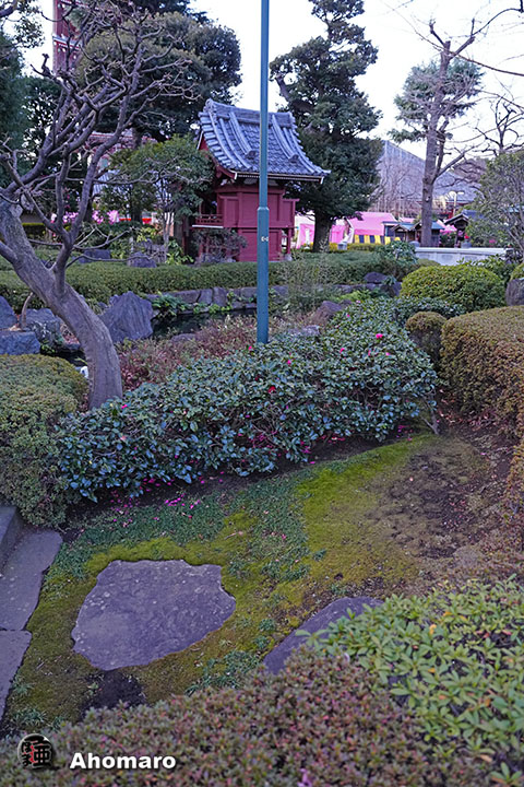 写真00