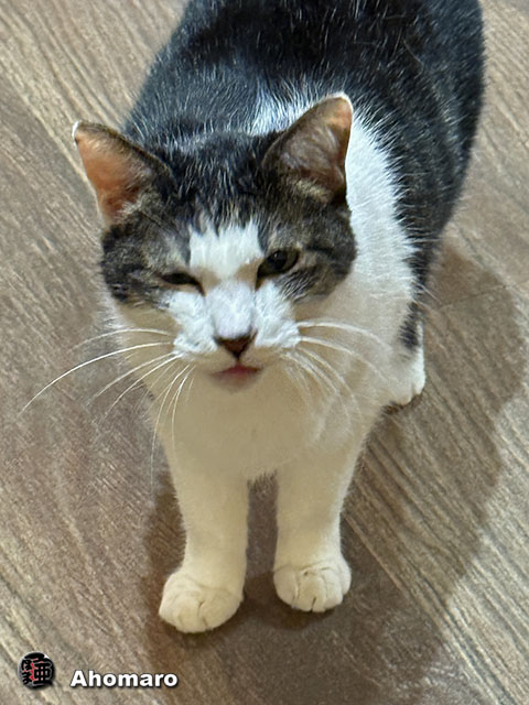 ʐ^00