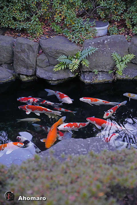 写真00